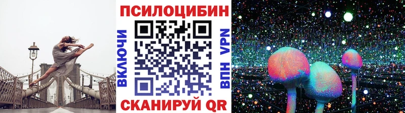 площадка официальный сайт  Кисловодск  Псилоцибиновые грибы мухоморы  ОМГ ОМГ сайт 