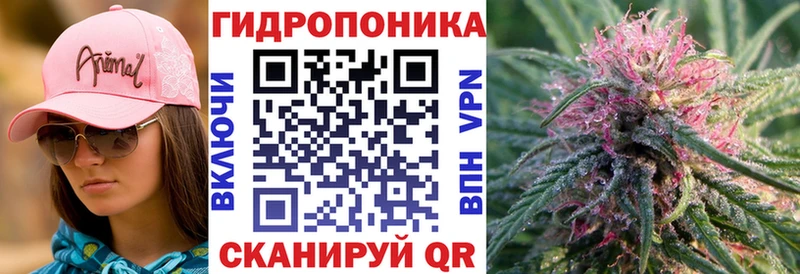 mega онион  сайты даркнета клад  Бошки марихуана план  Кисловодск 
